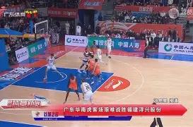 九州娱乐官网-广东金狮激战福建星群，稳居榜首