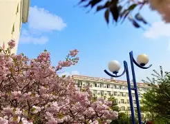 九州平台-青岛黄海联赛表现出色，球队备战接下来比赛(青岛黄海足球俱乐部2020赛季引援最新消息)
