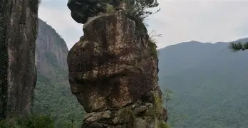 九州平台-浓眉哥获得过最佳防守球员吗